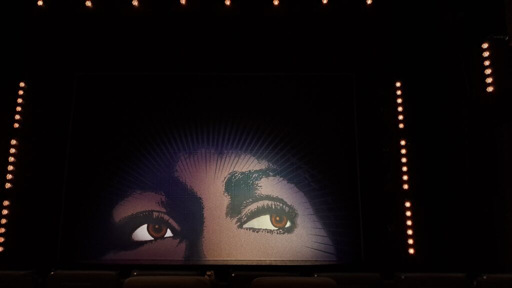 Tina Turner: O Musical - cabanageek